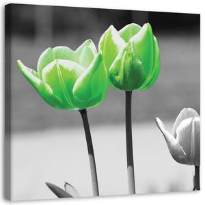 Gario Vászonkép Zöld tulipánok szürkében Méret: 30 x 30 cm