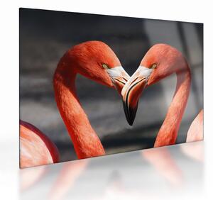 Két szerelmes flamingó képe (üvegen) (70x50 cm)