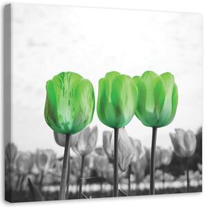 Gario Vászonkép Zöld tulipánok a réten Méret: 30 x 30 cm