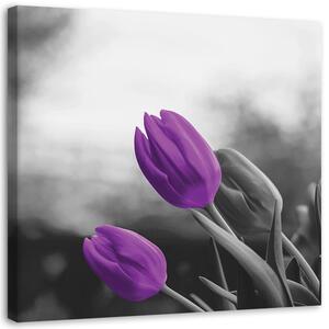 Gario Vászonkép Két lila tulipán Méret: 30 x 30 cm