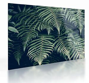 A páfrány levelek képe (üvegen) (70x50 cm)