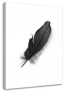 Gario Vászonkép Fekete toll Méret: 40 x 60 cm