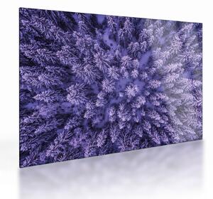 Havas fák képe (üvegen) (70x50 cm)