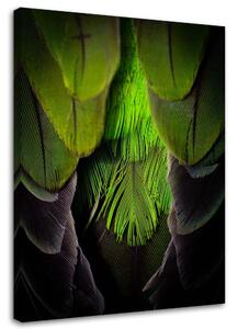 Gario Vászonkép Zöld tollak Méret: 40 x 60 cm