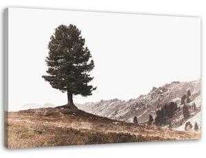 Gario Vászonkép Fa a dombokon Méret: 60 x 40 cm