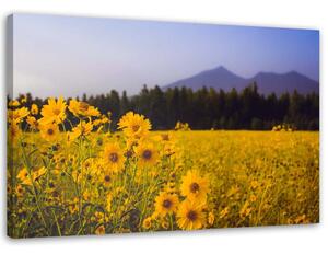 Gario Vászonkép Sárga mezei virágok Méret: 60 x 40 cm
