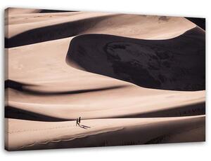 Gario Vászonkép Sivatag Méret: 60 x 40 cm