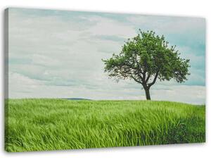 Gario Vászonkép Fa a mezon Méret: 60 x 40 cm