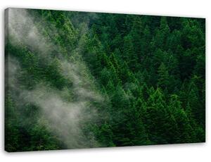 Gario Vászonkép Köd az erdo felett Méret: 60 x 40 cm