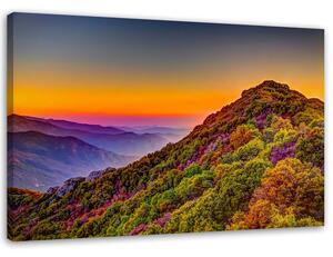 Gario Vászonkép Színes dombok Méret: 60 x 40 cm