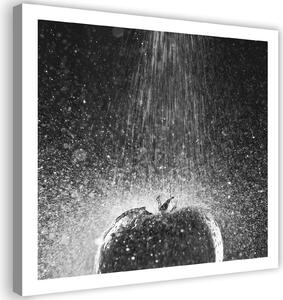 Gario Vászonkép Paradicsom egy csepego vízben Méret: 30 x 30 cm