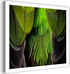 Gario Vászonkép Lime zöld tollak Méret: 30 x 30 cm