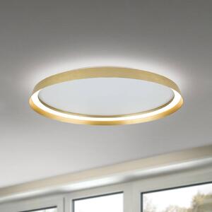 ORION LED mennyezeti lámpa Manta, Ø 60 cm, arany színű, alumínium, fel/le, dimmelhető, Sárgaréz / arany, Nappali / Étkező, Alumínium, Modern