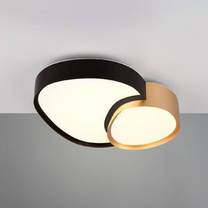 Trio Lighting LED mennyezeti lámpa Rise, fekete-arany, 43 x 36 cm, CCT,, dimmelhető, Fekete, Nappali / Étkező, fém, Modern