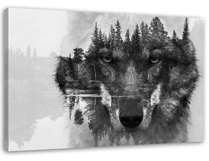Gario Vászonkép Fekete farkas a háttérben erdo és tó absztrakt Méret: 60 x 40 cm