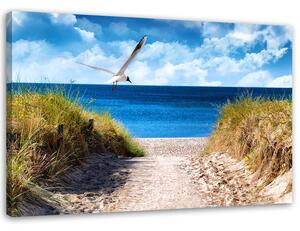 Gario Vászonkép Út a tengerpartra és egy sirály Méret: 60 x 40 cm