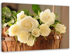 Gario Vászonkép Sárga és fehér rózsa Méret: 60 x 40 cm