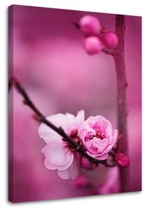 Gario Vászonkép Rózsaszín virág és bimbó egy ágon Méret: 40 x 60 cm