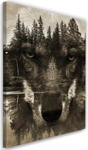 Gario Vászonkép Fekete farkas absztrakt, szepia Méret: 40 x 60 cm