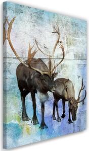 Gario Vászonkép Szarvas és rénszarvas télen Méret: 40 x 60 cm