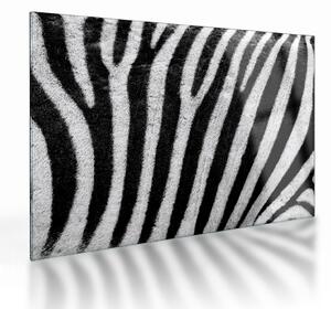Kép egy zebra bőrről (üvegen) (70x50 cm)