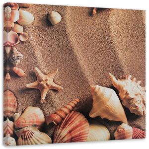 Kép Kagylók száraz homokon Méretek: 30 x 30 cm, Kivitelezés: Vászonkép
