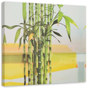 Gario Vászonkép Néhány zöld bambusz Méret: 30 x 30 cm