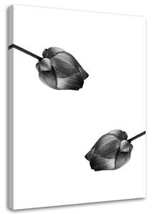 Gario Vászonkép Két szürke virág Méret: 40 x 60 cm