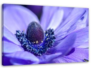 Gario Vászonkép Kék és lila virág Méret: 60 x 40 cm