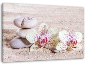 Gario Vászonkép Orchidea és kövek a homokon Méret: 60 x 40 cm