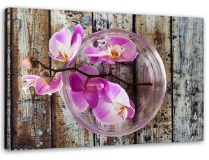 Gario Vászonkép Orchidea deszkák hátterében Méret: 60 x 40 cm