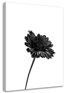 Gario Vászonkép Egyetlen virág Méret: 40 x 60 cm