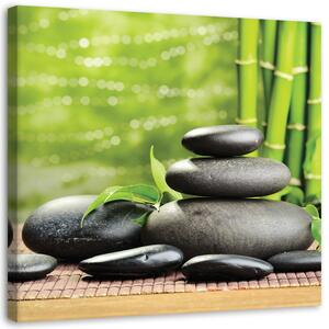 Gario Vászonkép Fekete zen kövek és zöld növényzet Méret: 30 x 30 cm