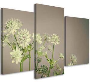 Gario Vászonkép Mezei virágok - 3 részes Méret: 60 x 40 cm