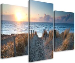 Gario Vászonkép Dunék a tengerparton - 3 részes Méret: 60 x 40 cm