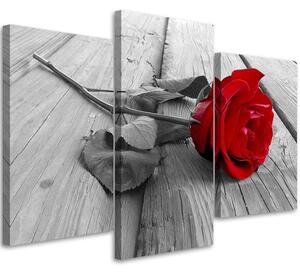 Gario Vászonkép Vörös rózsa - 3 részes Méret: 60 x 40 cm