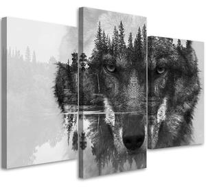 Gario Vászonkép Fekete farkas absztrakt - 3 részes Méret: 60 x 40 cm