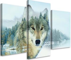 Gario Vászonkép Farkas hegyi háttérrel - 3 részes Méret: 60 x 40 cm