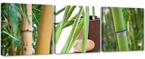 Gario Vászonképek készlet Zen bambuszok - 3 részes Méret: 90 x 30 cm