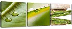 Gario Vászonképek készlet Zen levelek harmatcseppekkel - 3 részes Méret: 90 x 30 cm