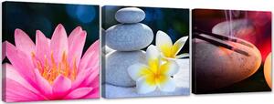 Gario Vászonképek készlet Virágok és relaxáció zen - 3 részes Méret: 90 x 30 cm