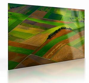 Kép - Mezők, rétek (üvegen) (70x50 cm)