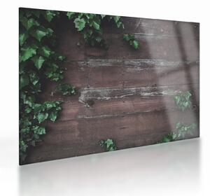 Kép - Borostyán (üvegen) (70x50 cm)