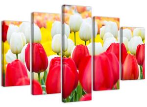 Gario Vászonkép Fehér és piros tulipánok - 5 részes Méret: 100 x 70 cm