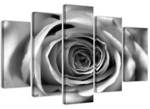 Gario Vászonkép Rózsa virág - 5 részes Méret: 100 x 70 cm