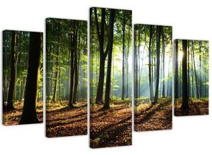 Gario Vászonkép Napsugarak az erdőben - 5 részes Méret: 100 x 70 cm