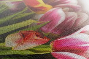 Kép tulipán csokor