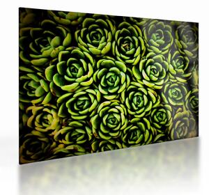 Sziklák képe (üvegen) (70x50 cm)