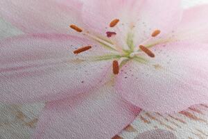 Kép rózsaszín liliom és Zen kövek
