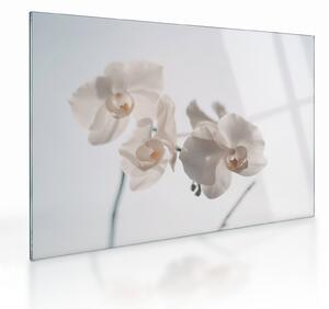 Fehér orchidea képe (üvegen) (70x50 cm)